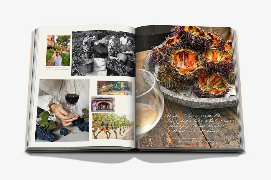 Assouline Wine & Travel France