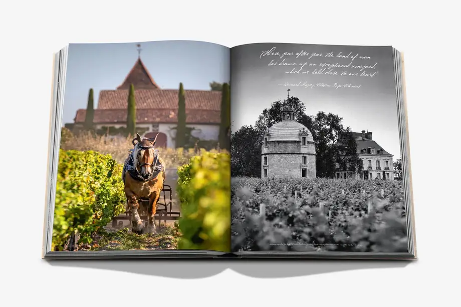 Assouline Wine & Travel France