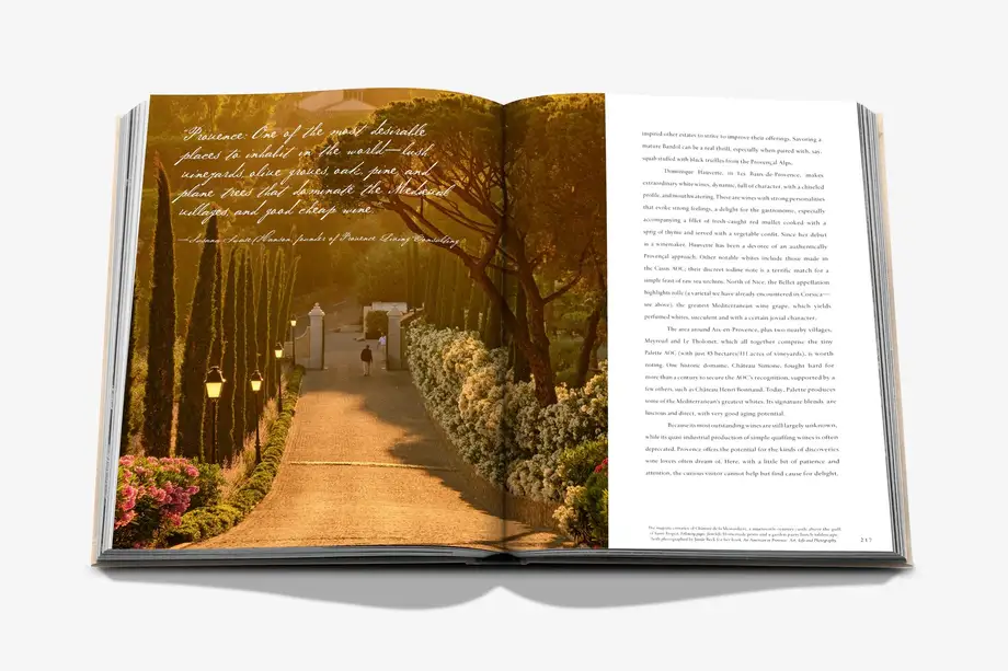 Assouline Wine & Travel France
