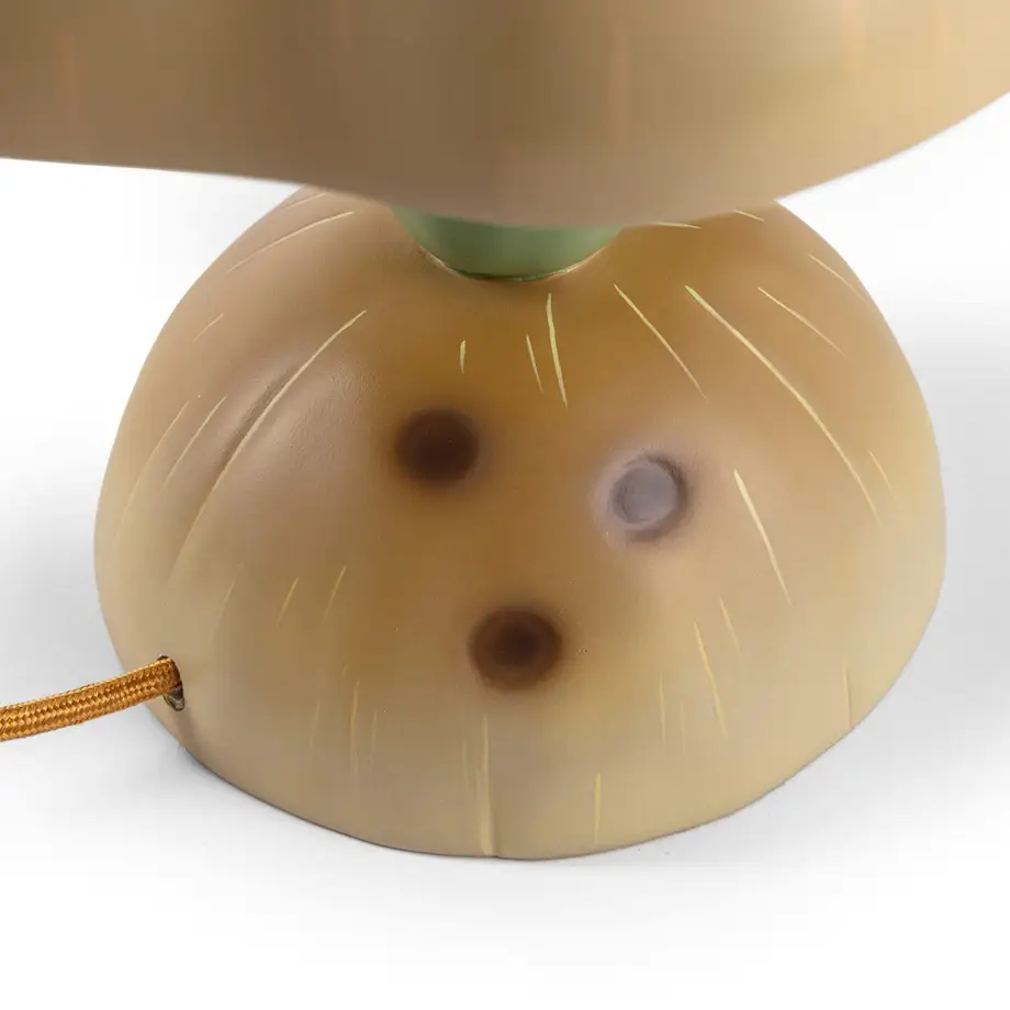 Seletti Vitamin Table Lamp Pumpkin 