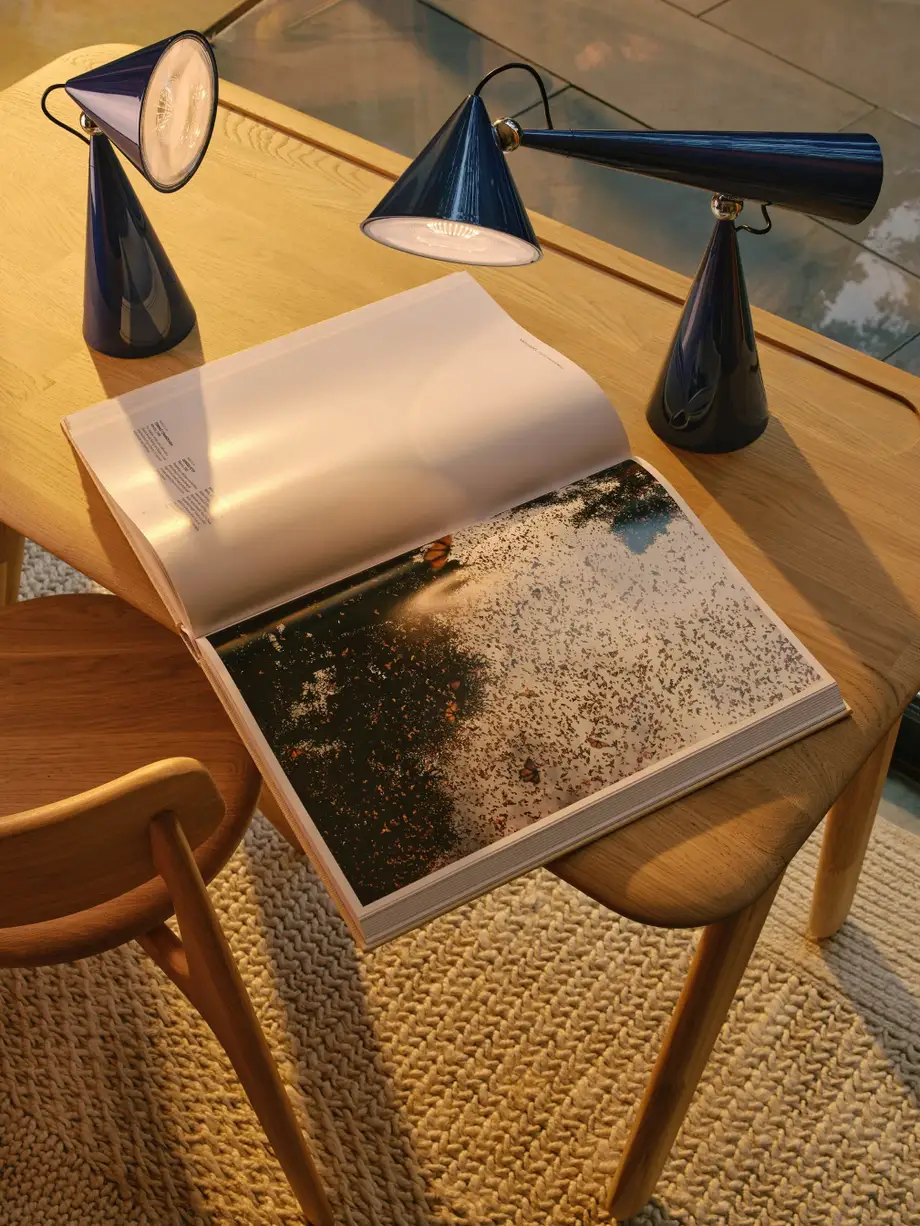 Tom Dixon Pose Task Light Led