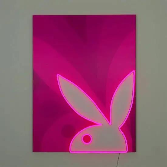 Locomocean Playboy Echo Bunny