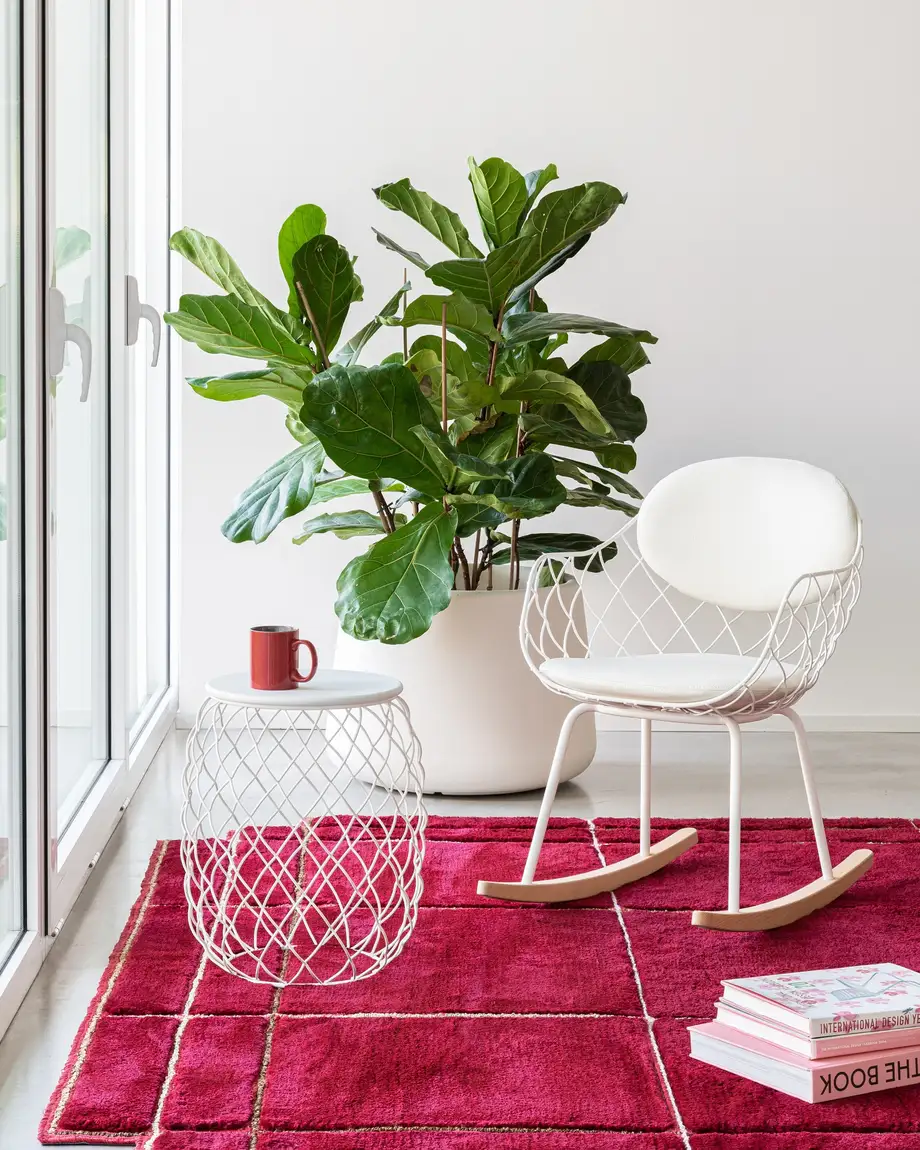 Magis Pina Rocking Chair