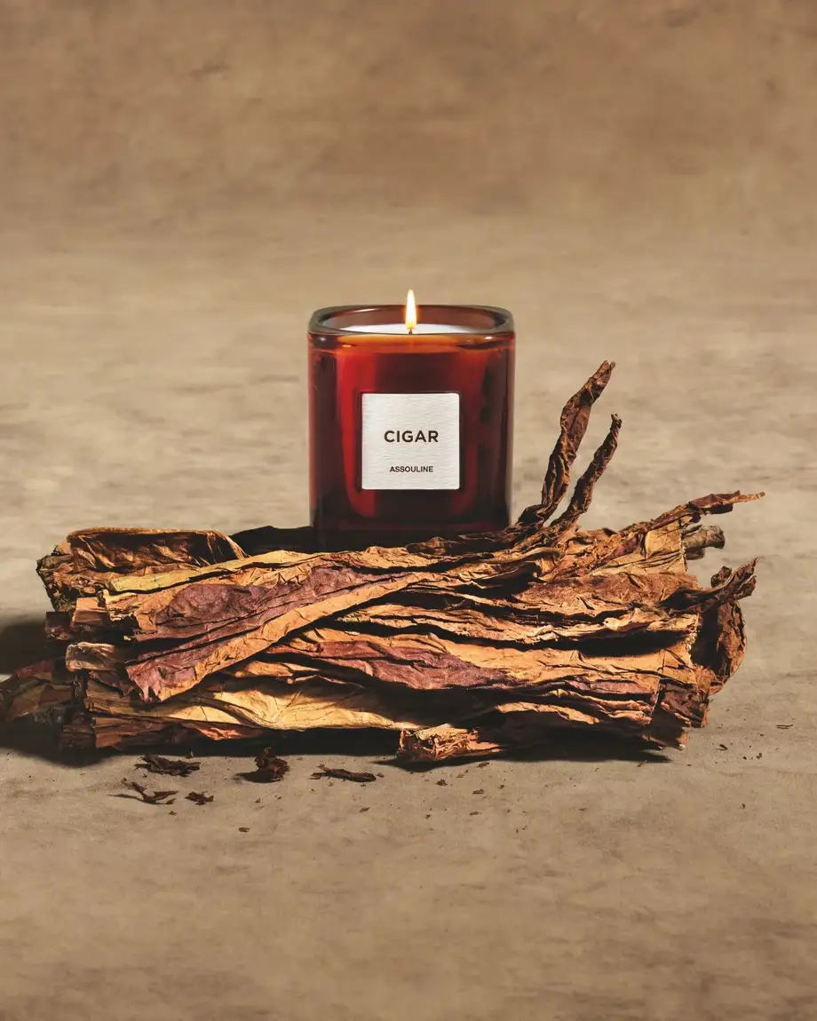 Library Candle Cigar - Library Collection