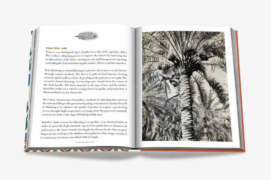 Assouline Saudi Dates: A portait of the sacred fruit