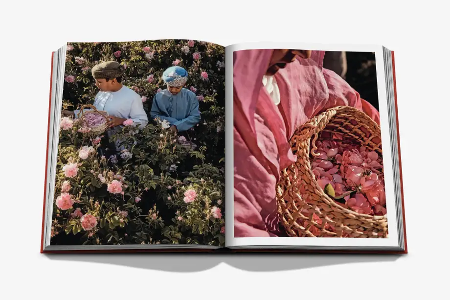 Assouline Oman Odyssey