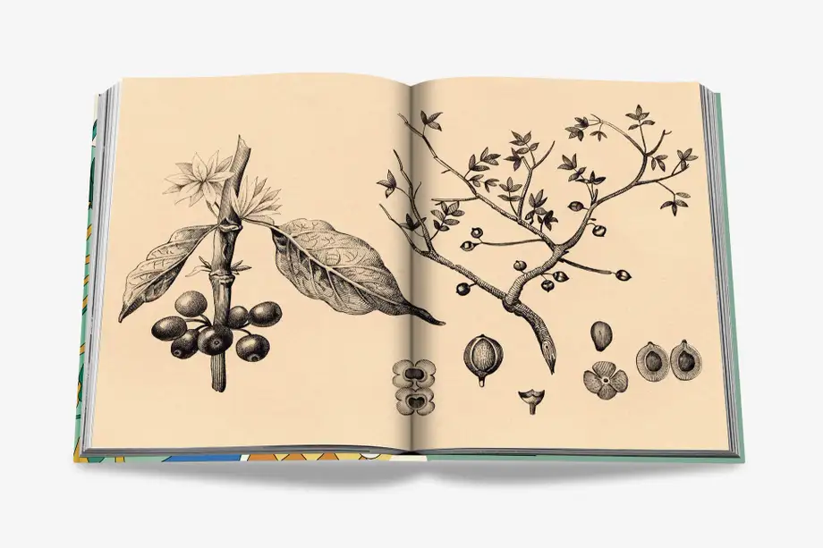 Assouline Saudi Coffee: The Culture of Hospitality