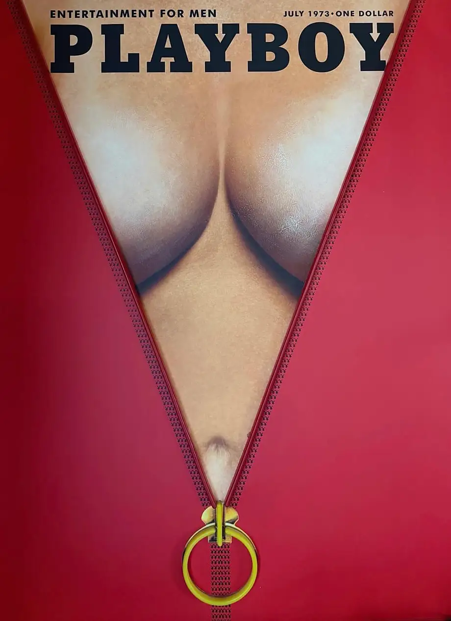 Playboy X "Zip Cover" Wall Artwork Led