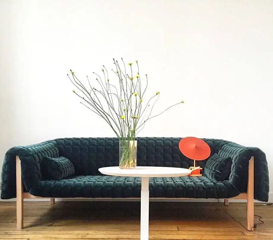 Ligne Roset Ruche' Sofa
