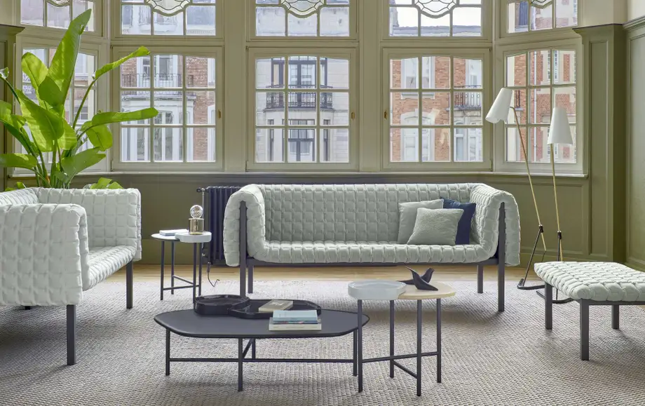 Ligne Roset Ruche' Sofa