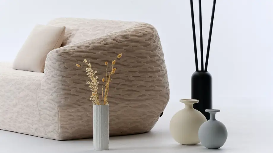 Ligne Roset Uncover Sofa