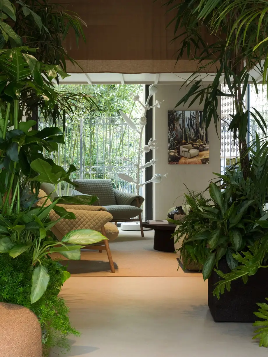 Saba Voila' Armchair