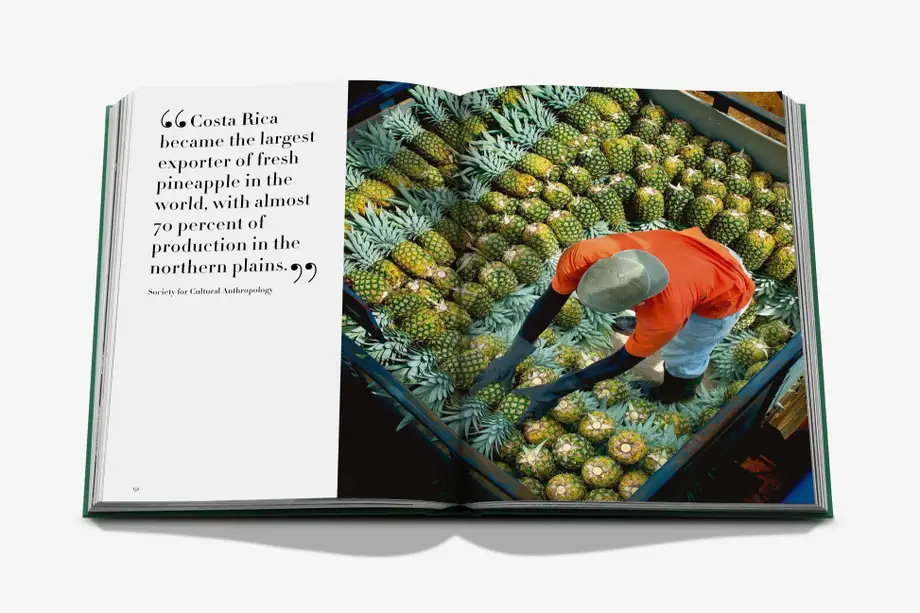 Assouline Costa Rica Vida