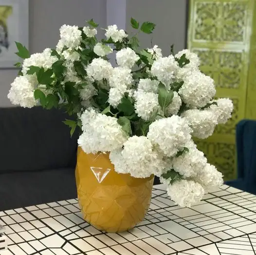 Bosa Cut Vase