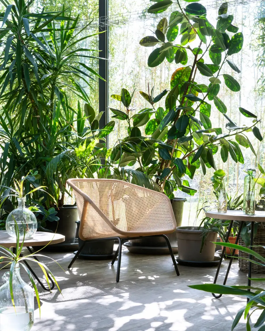 Miniforms Colony Armchair