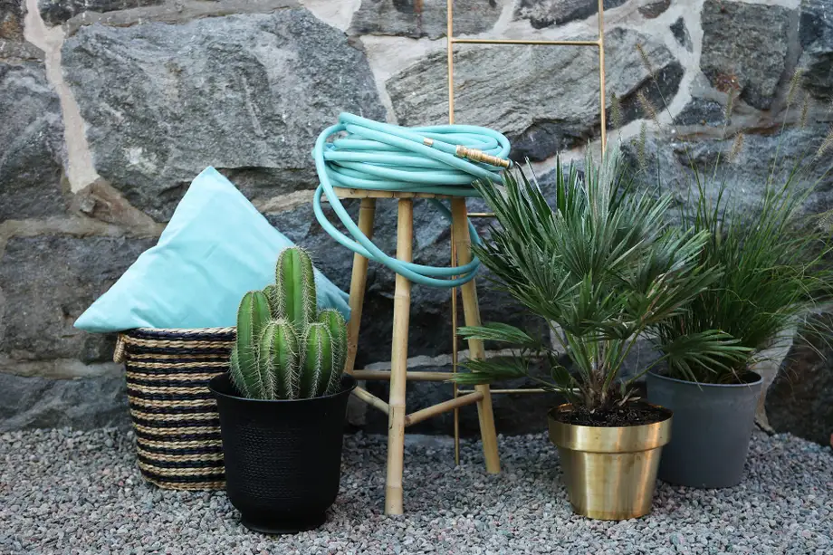 Garden Glory Hose 