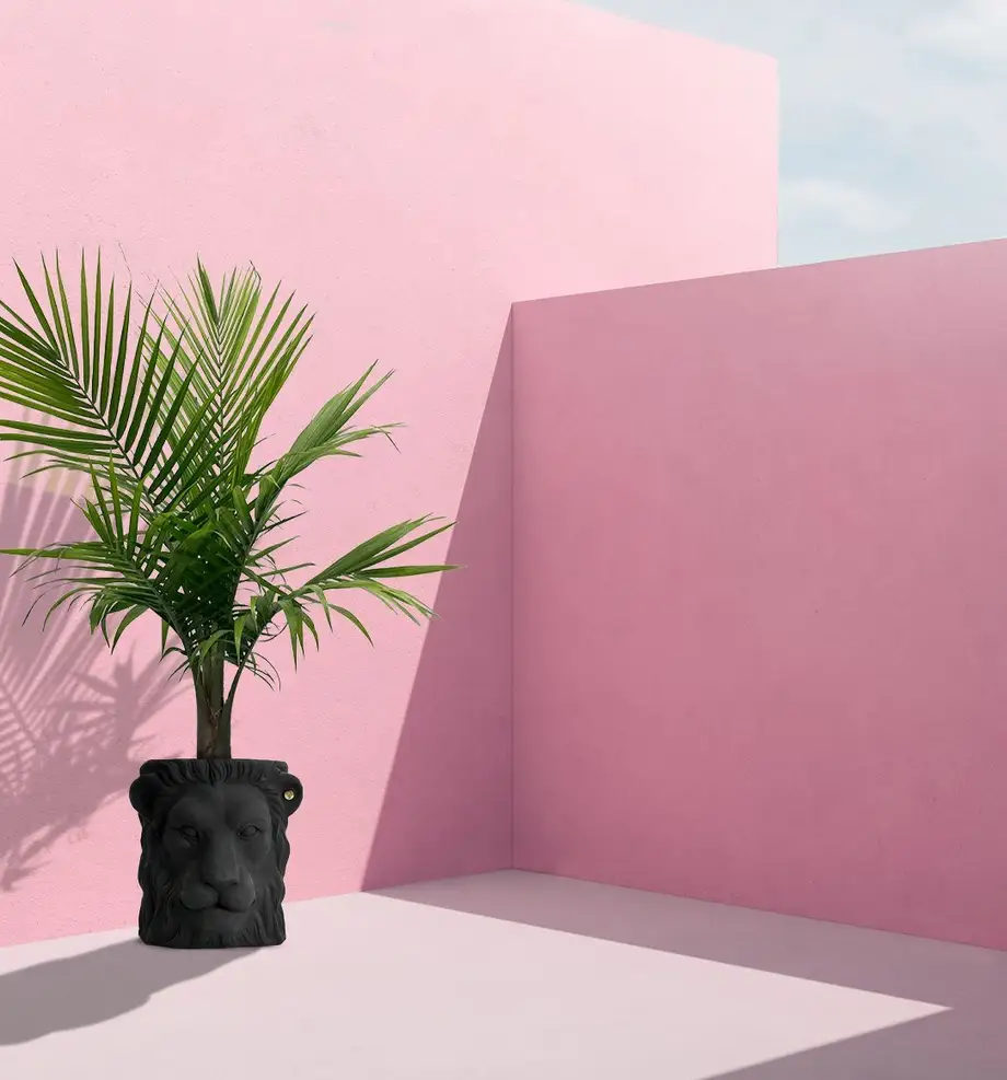 Garden Glory Lion Pot Big Black