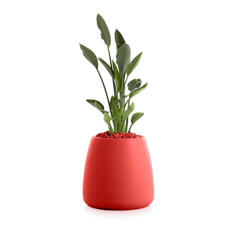 Diabla Gobi Outdoor Planter 1 