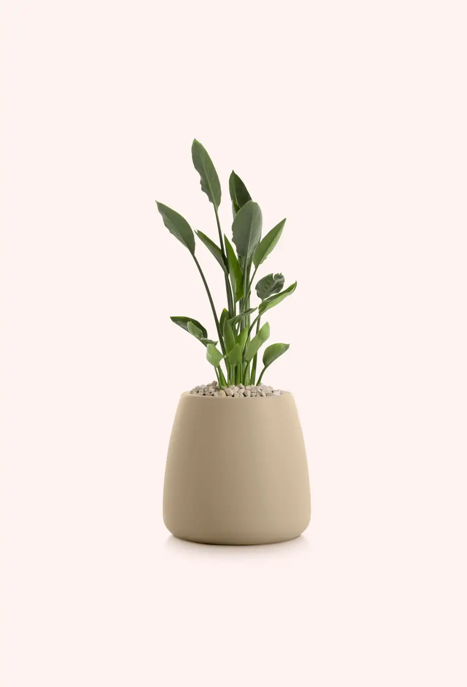 Diabla Gobi Outdoor Planter 1 