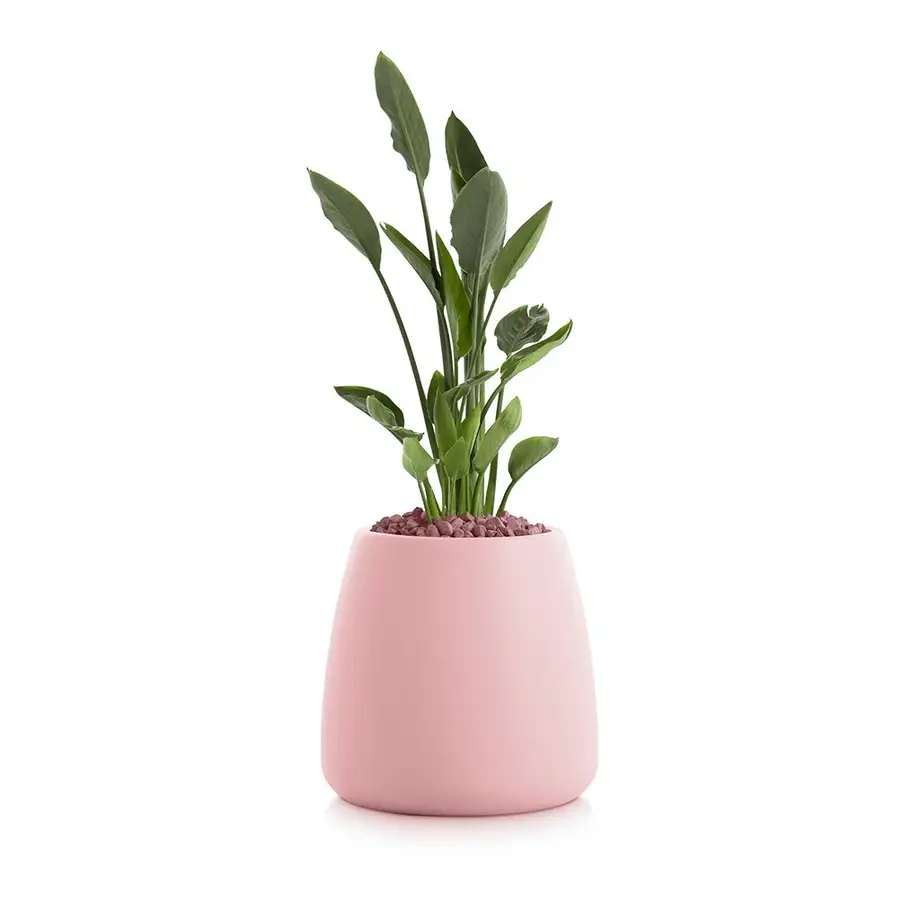 Diabla Gobi Outdoor Planter 1 