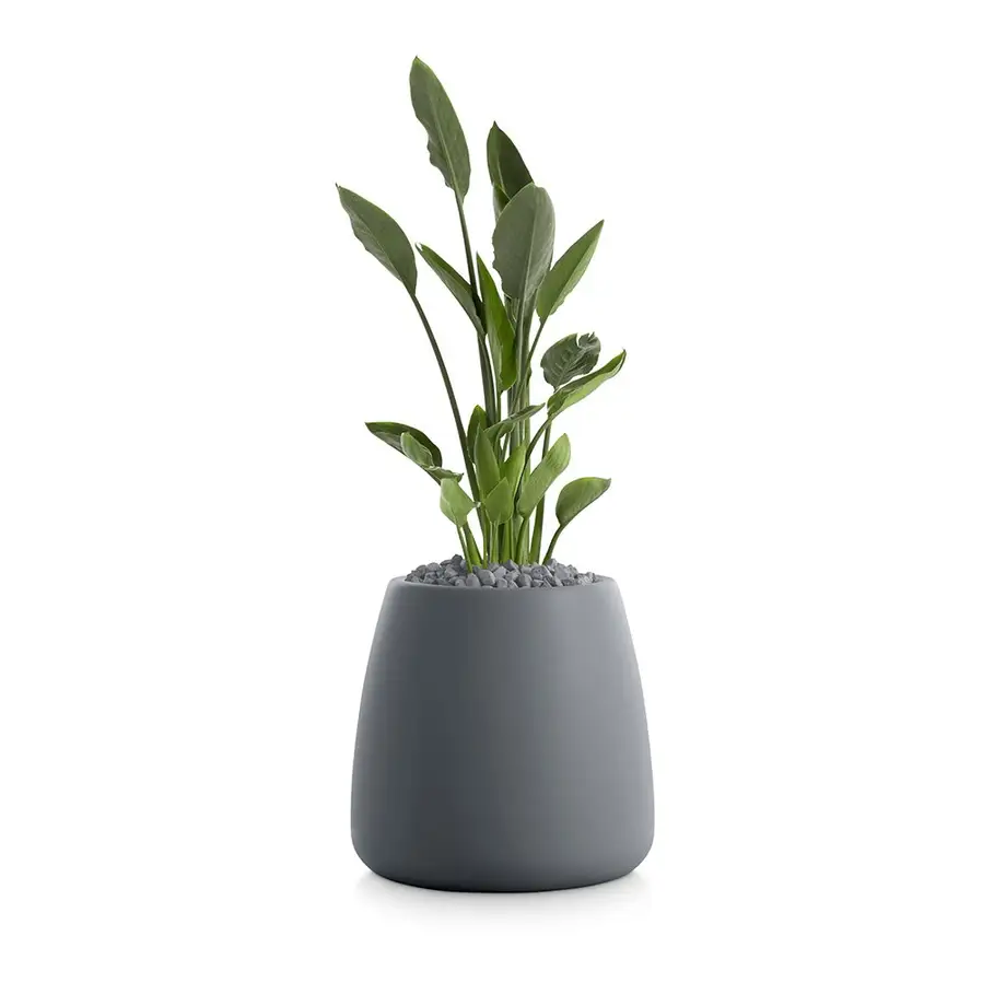 Diabla Gobi Outdoor Planter 1 