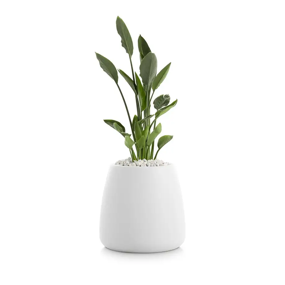 Diabla Gobi Outdoor Planter 1 