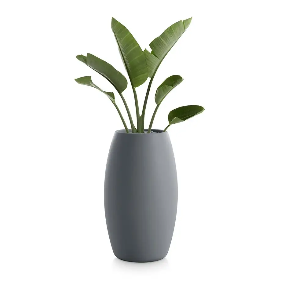 Diabla Gobi Outdoor Planter 2