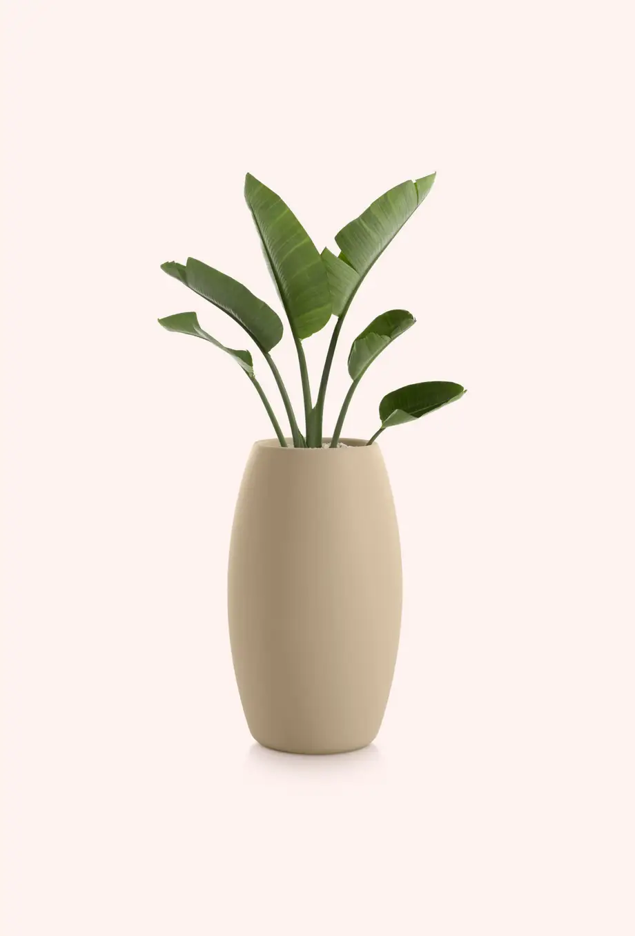 Diabla Gobi Outdoor Planter 2