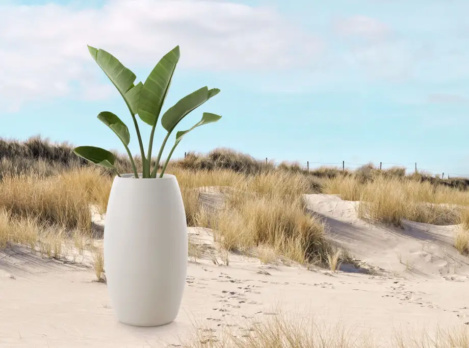Diabla Gobi Outdoor Planter 2