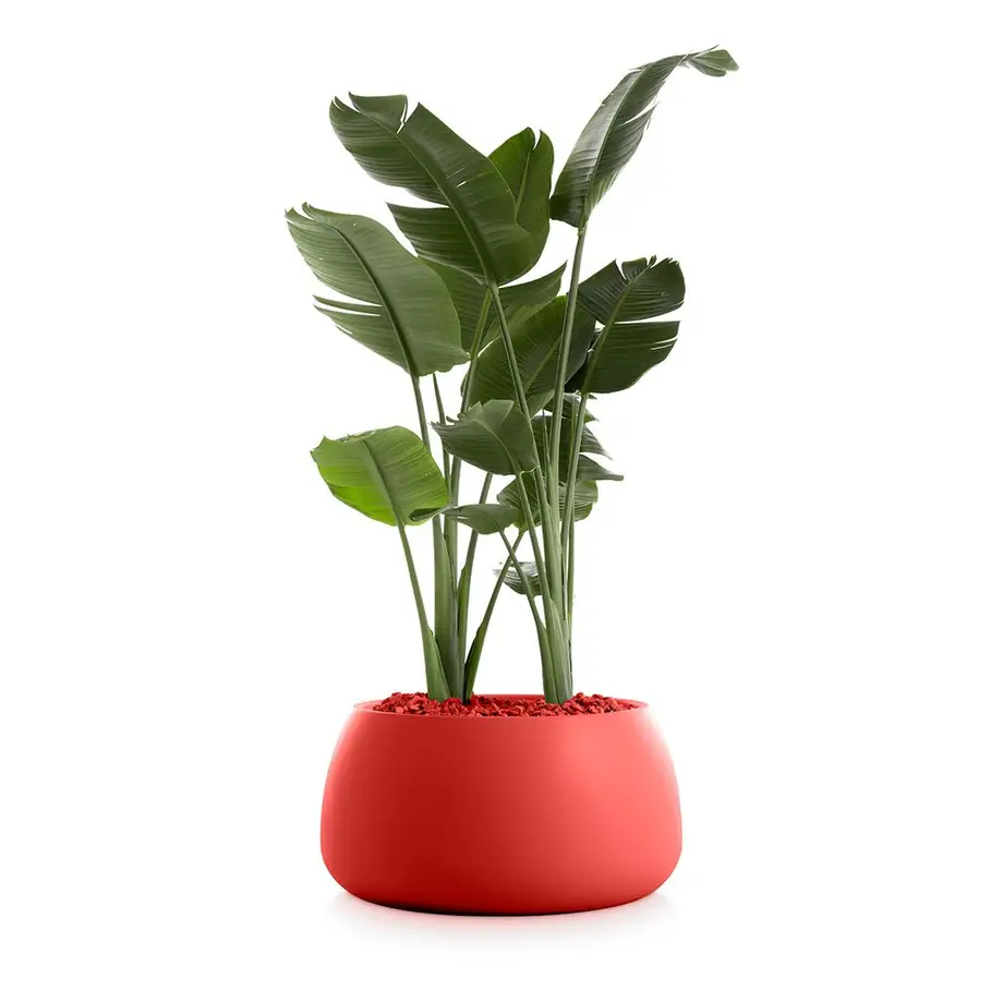 Diabla Gobi Outdoor Planter 3