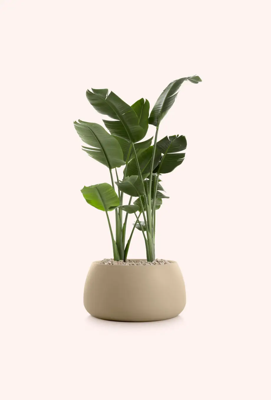 Diabla Gobi Outdoor Planter 3