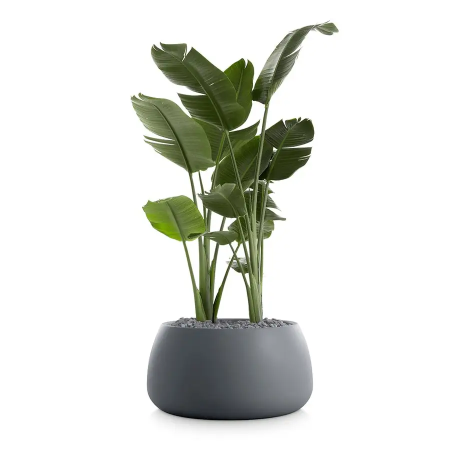 Diabla Gobi Outdoor Planter 3