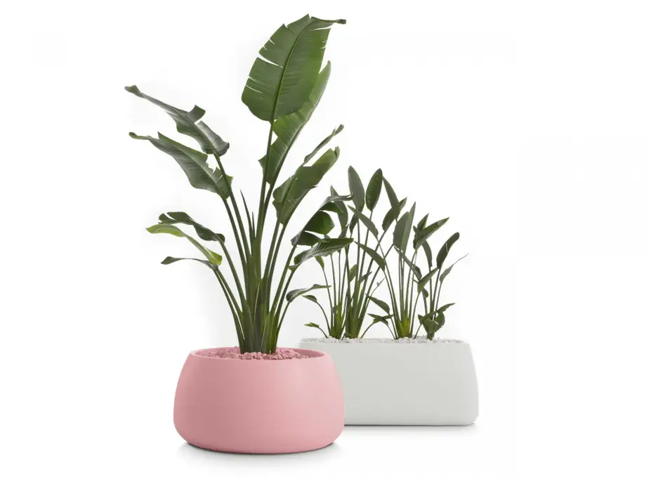 Diabla Gobi Outdoor Planter 3