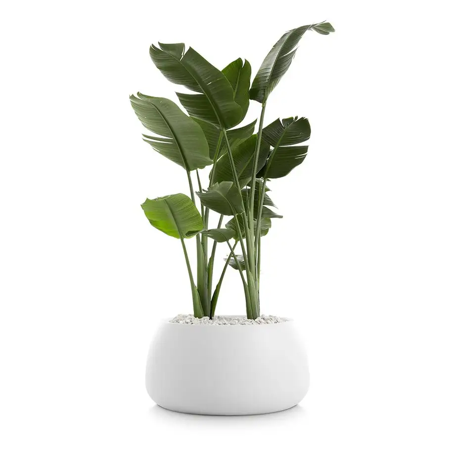 Diabla Gobi Outdoor Planter 3