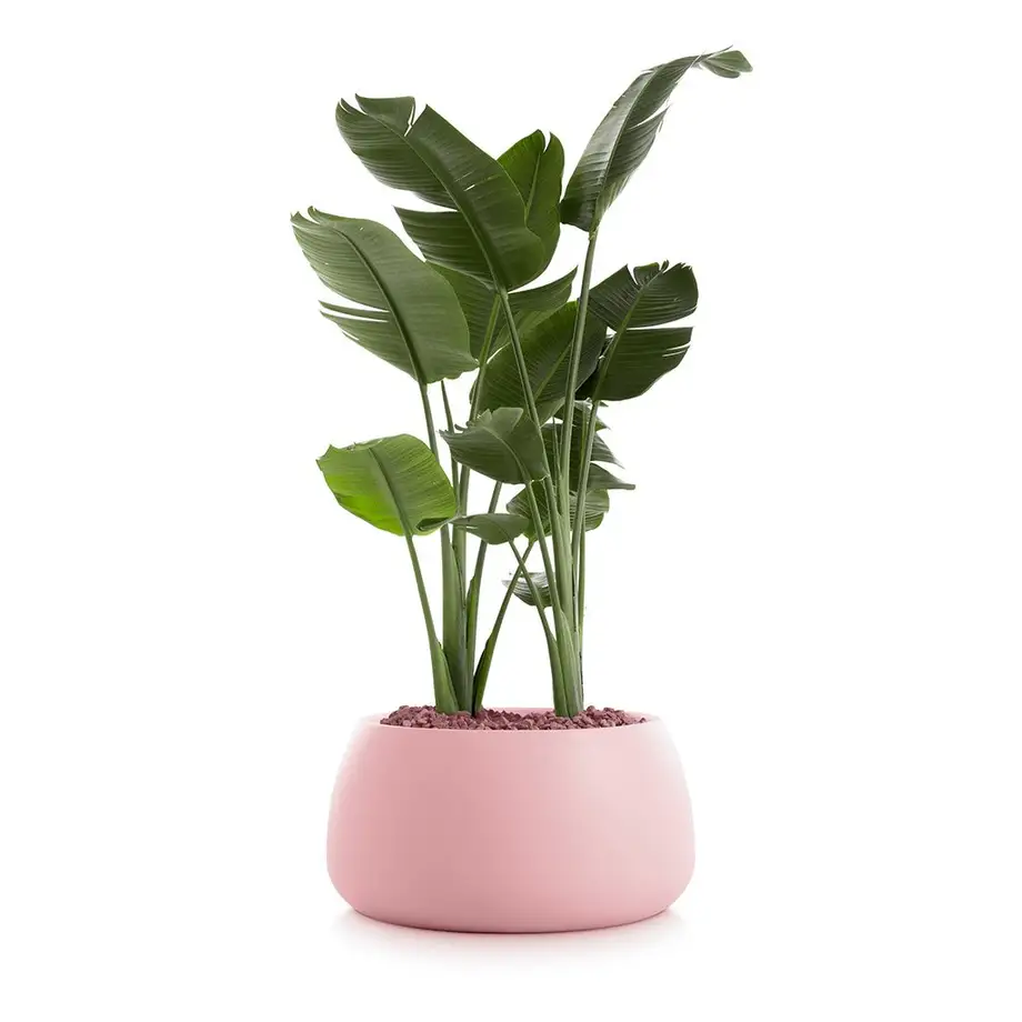 Diabla Gobi Outdoor Planter 3