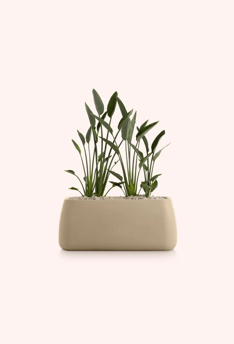 Diabla Gobi Outdoor Planter 5
