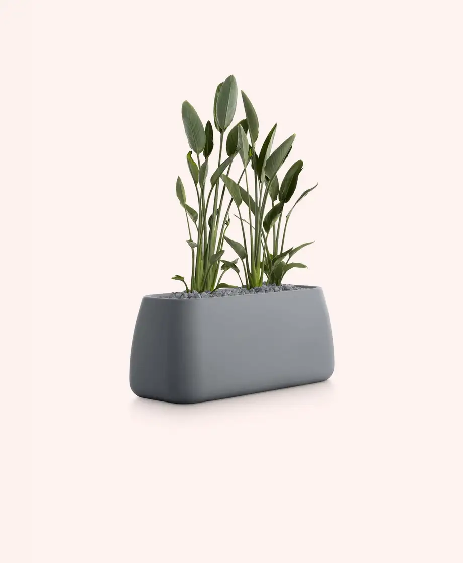 Diabla Gobi Outdoor Planter 5