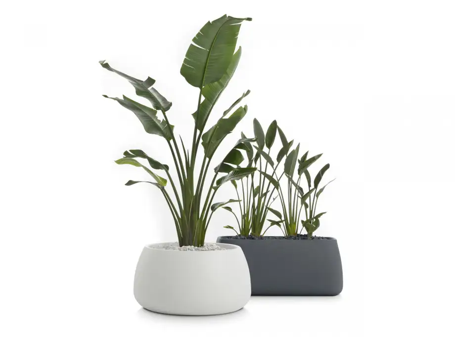 Diabla Gobi Outdoor Planter 5