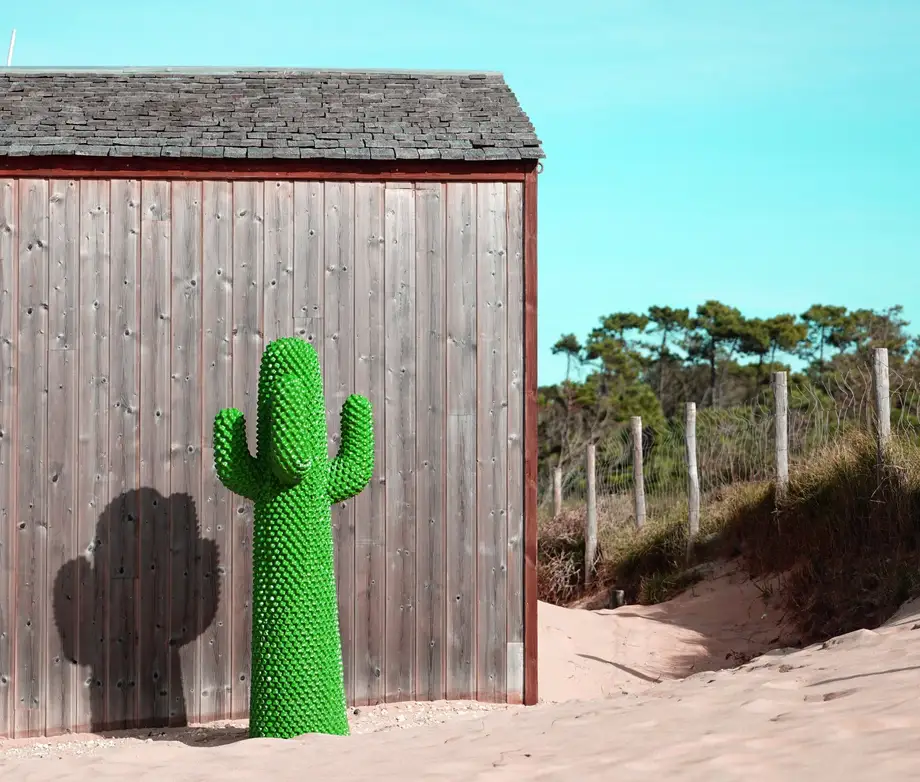 Gufram Cactus