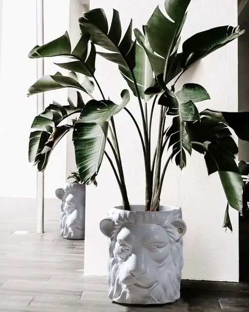 Garden Glory Lion Pot Big White