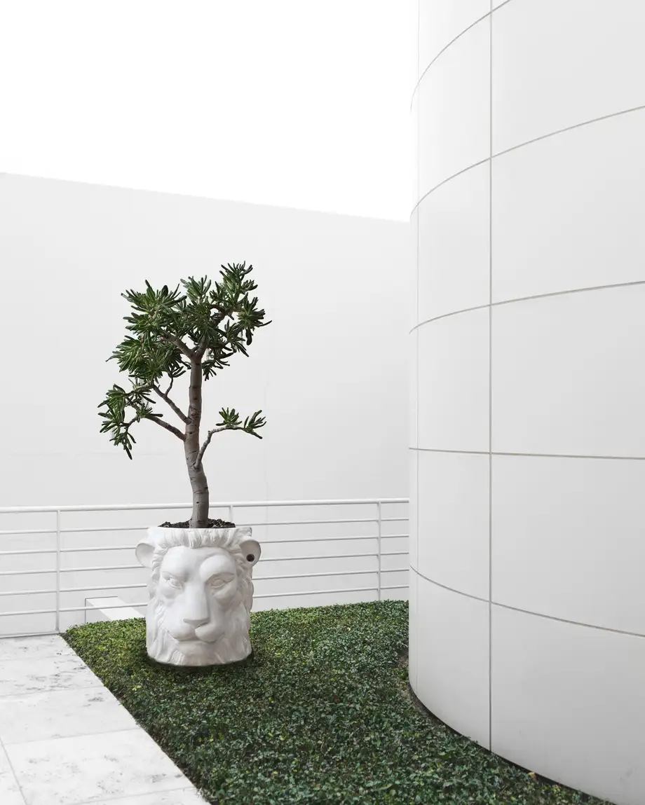 Garden Glory Lion Pot Big White