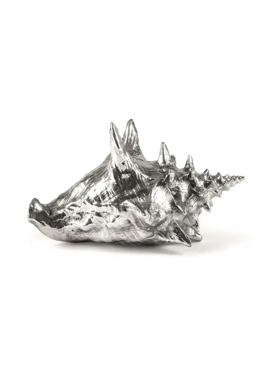 Seletti Wunderkammer Shell