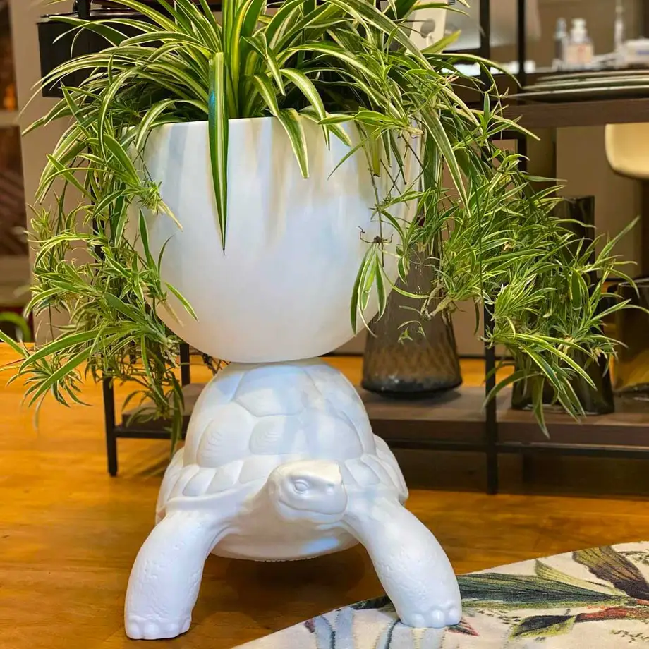 Qeeboo Turtle Carry Planter & Champagne Cooler - New Colors!