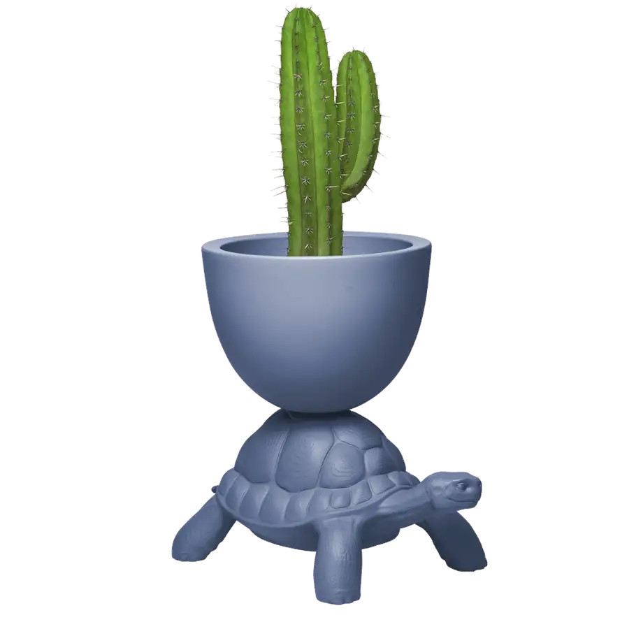 Qeeboo Turtle Carry Planter & Champagne Cooler - New Colors!