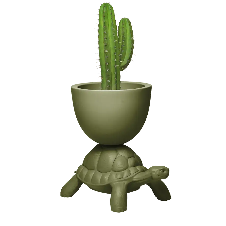 Qeeboo Turtle Carry Planter & Champagne Cooler - New Colors!