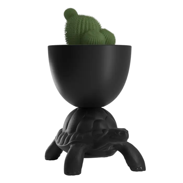 Qeeboo Turtle Carry Planter & Champagne Cooler - New Colors!