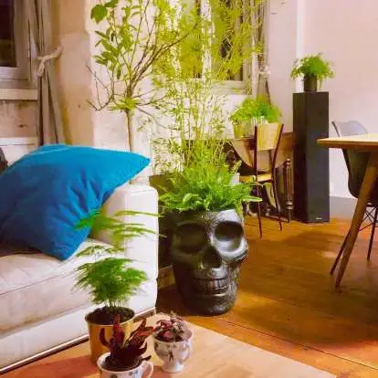 Qeeboo Mexico Planter & Champagne Cooler