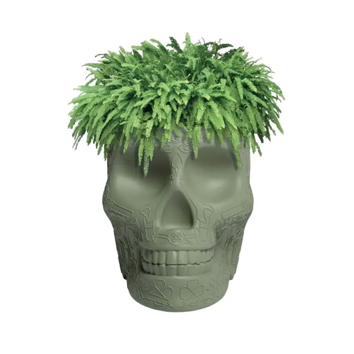 Qeeboo Mexico Planter & Champagne Cooler