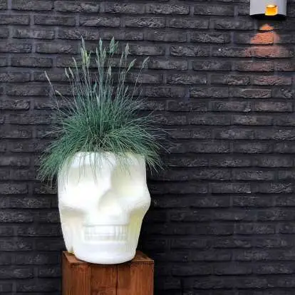 Qeeboo Mexico Planter & Champagne Cooler
