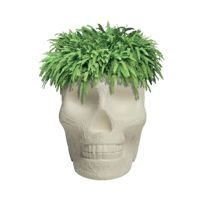 Qeeboo Mexico Planter & Champagne Cooler